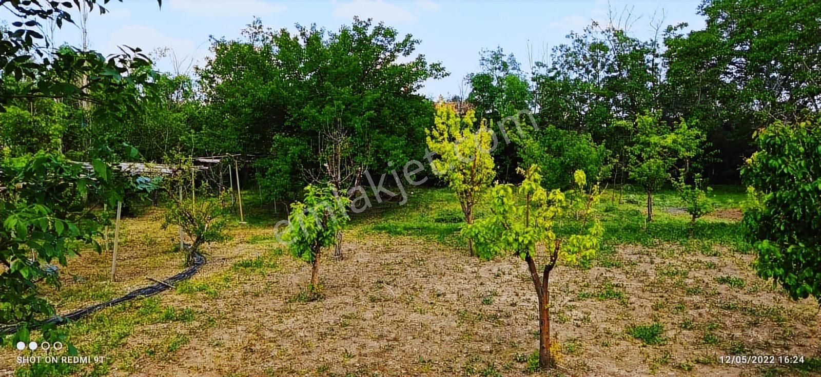 Çağlak Gayrimenkul Den Satılık Villa Arsası - Görsel 3