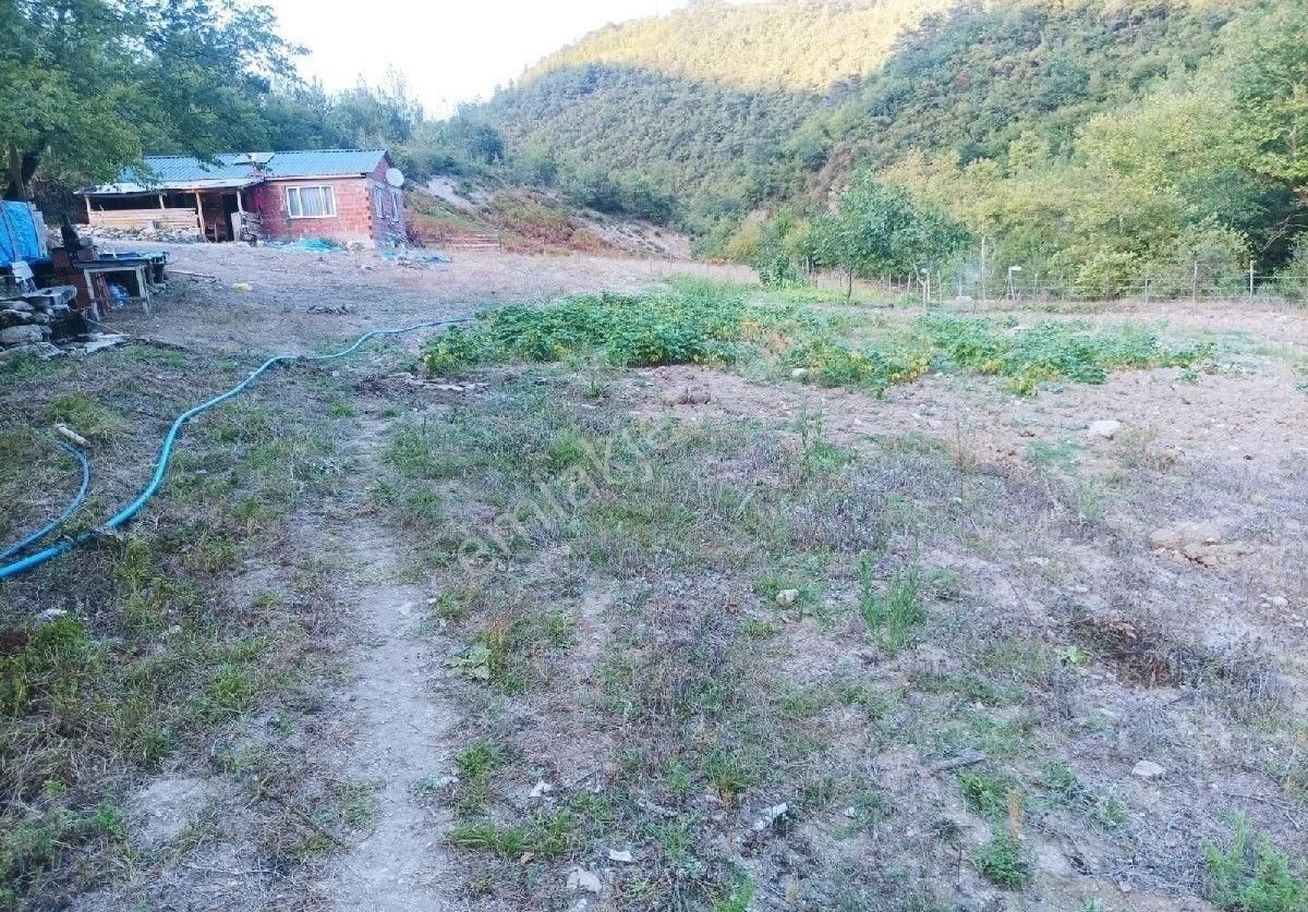 Sabuncoğlu Gayrımenkulden. Sinop Karadeniz İncisi Gerze İlçesi Aşağı Yamacık Mh.kelepir Çiftlik - Görsel 19