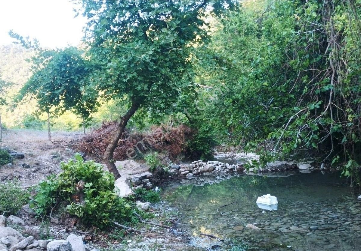 Sabuncoğlu Gayrımenkulden. Sinop Karadeniz İncisi Gerze İlçesi Aşağı Yamacık Mh.kelepir Çiftlik - Görsel 8