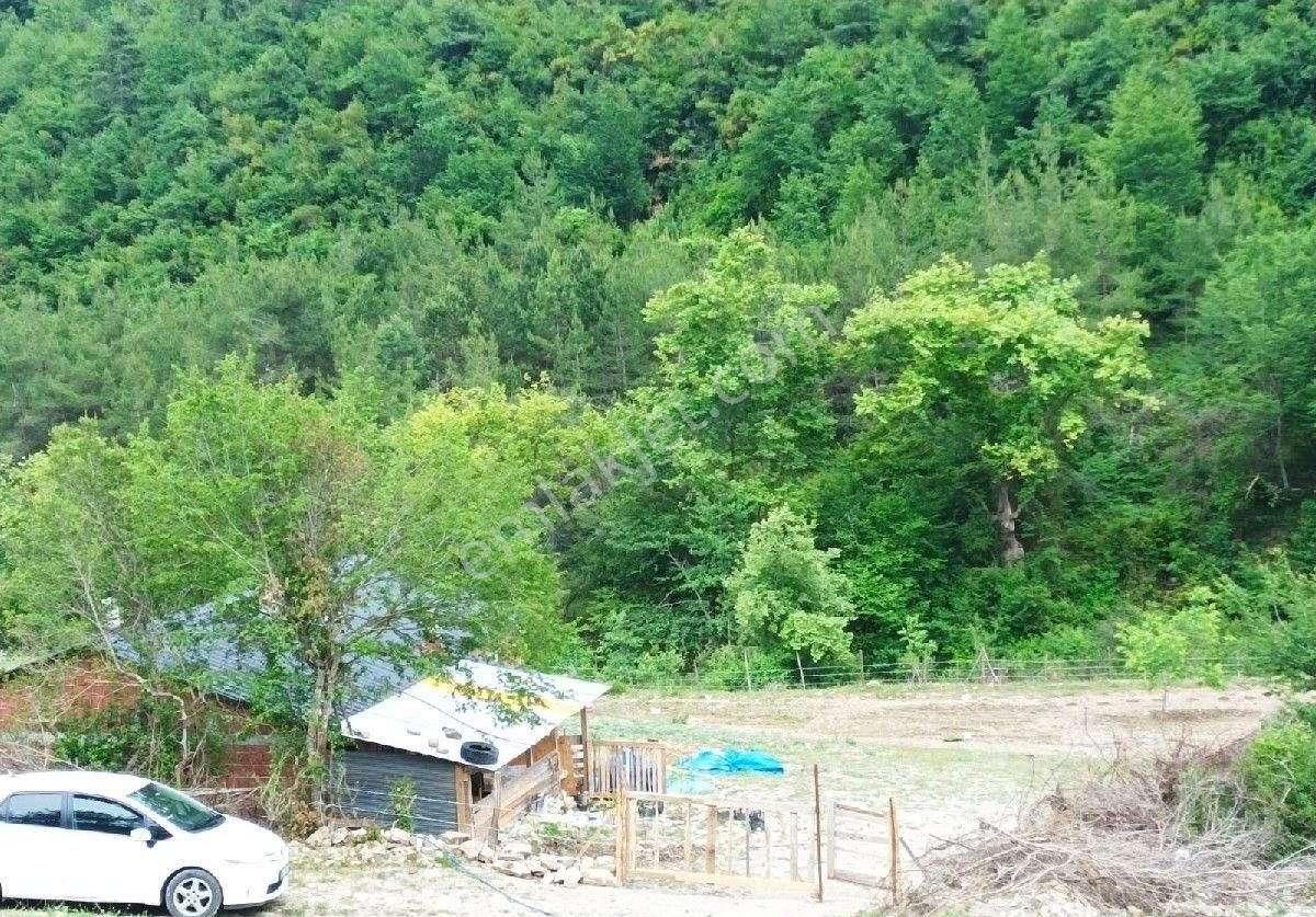 Sabuncoğlu Gayrımenkulden. Sinop Karadeniz İncisi Gerze İlçesi Aşağı Yamacık Mh.kelepir Çiftlik - Görsel 18