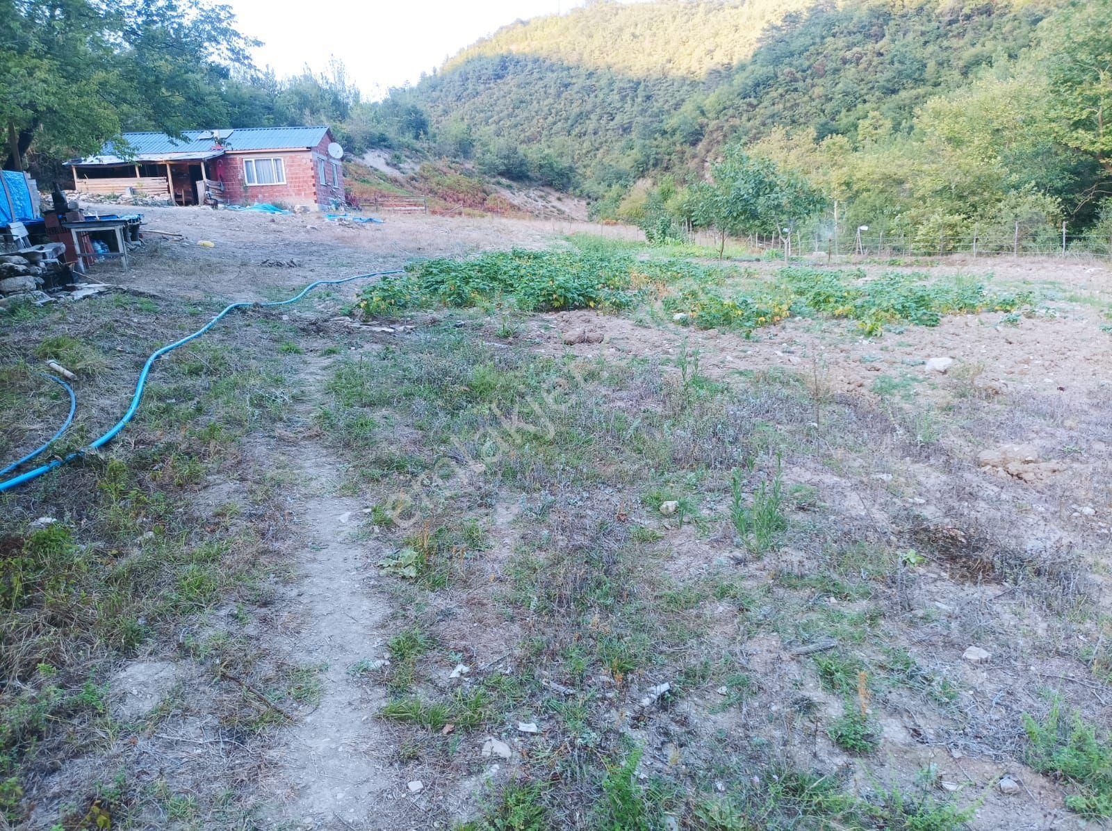 Sabuncoğlu Gayrımenkulden. Sinop Karadeniz İncisi Gerze İlçesi Aşağı Yamacık Mh.kelepir Çiftlik - Görsel 4