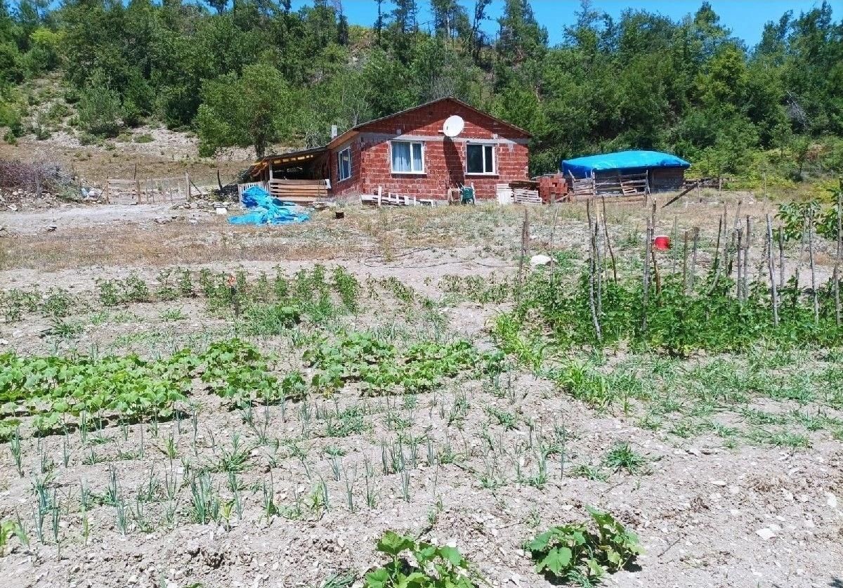 Sabuncoğlu Gayrımenkulden. Sinop Karadeniz İncisi Gerze İlçesi Aşağı Yamacık Mh.kelepir Çiftlik - Görsel 12