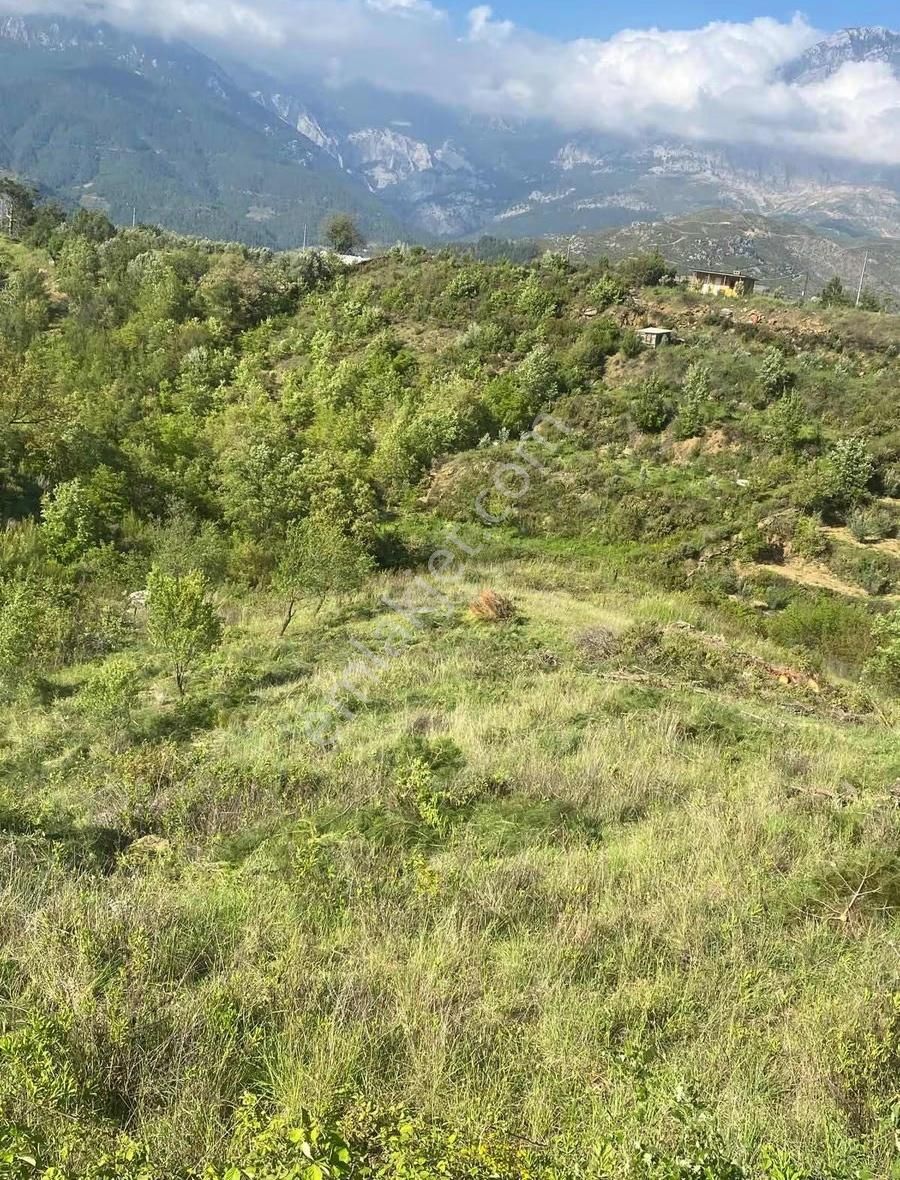 Alanya Fakırcalı Mah Satılık Tarla - Görsel 7