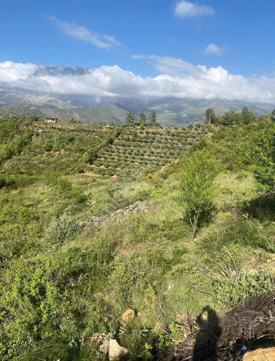 Alanya Fakırcalı Mah Satılık Tarla - Görsel 3