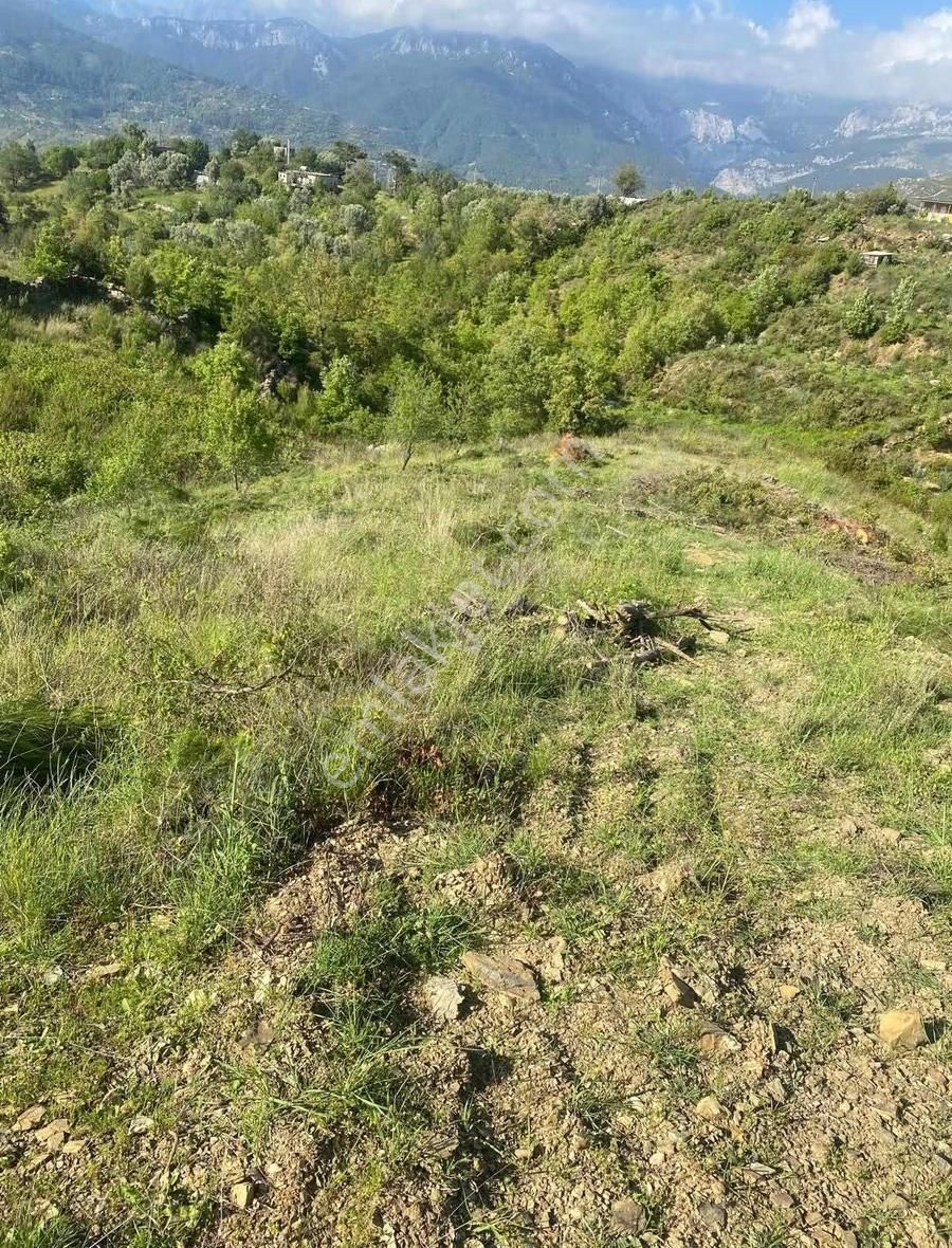 Alanya Fakırcalı Mah Satılık Tarla - Görsel 9