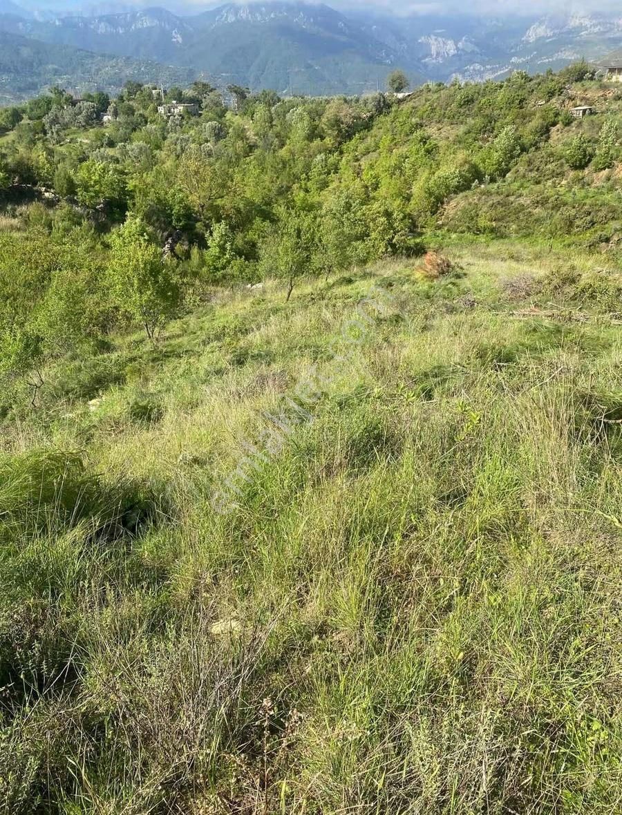 Alanya Fakırcalı Mah Satılık Tarla - Görsel 5