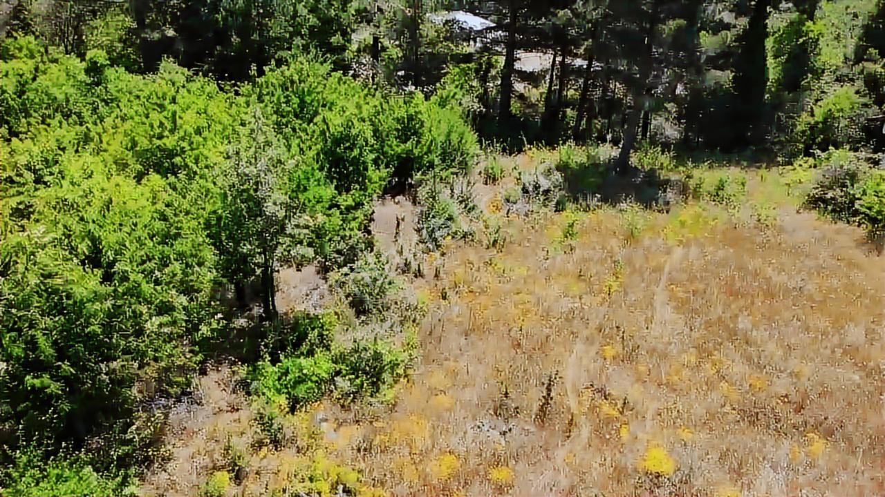 Fethiye Merkeze 20 Dakika Mesafede Satılık Yayla Arsası Ve Ev - Görsel 2