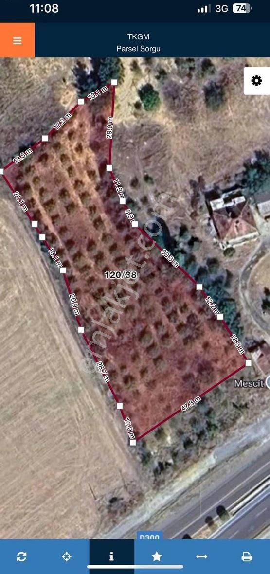 Ankara Asfalta Cephe 3900m2 Elma Bahçesi - Görsel 3