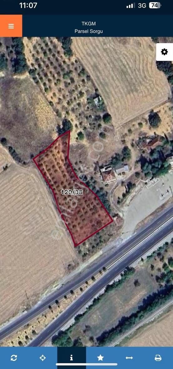 Ankara Asfalta Cephe 3900m2 Elma Bahçesi