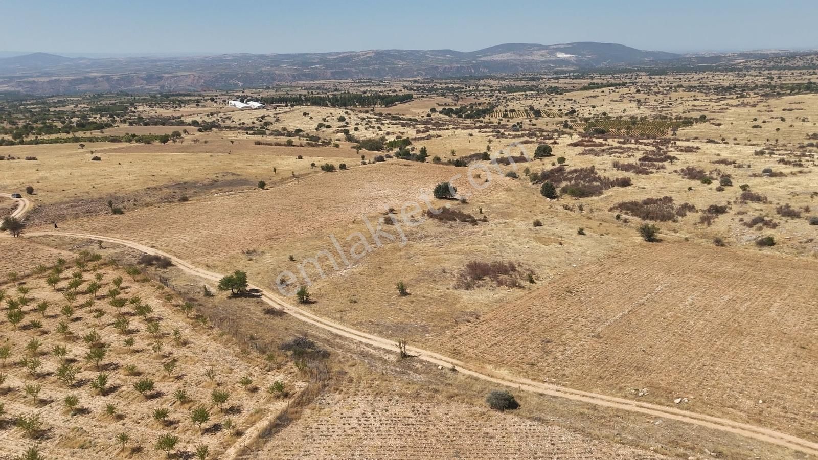 Denizli Bekilli Bükrüce'de Yatırımlık Fırsat Arazi!!!!! - Görsel 3