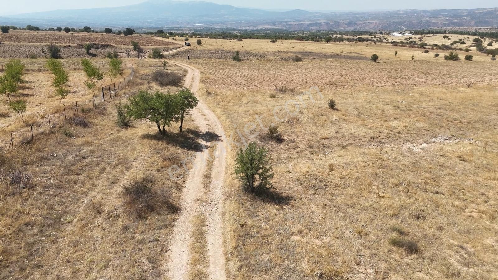 Denizli Bekilli Bükrüce'de Yatırımlık Fırsat Arazi!!!!! - Görsel 6