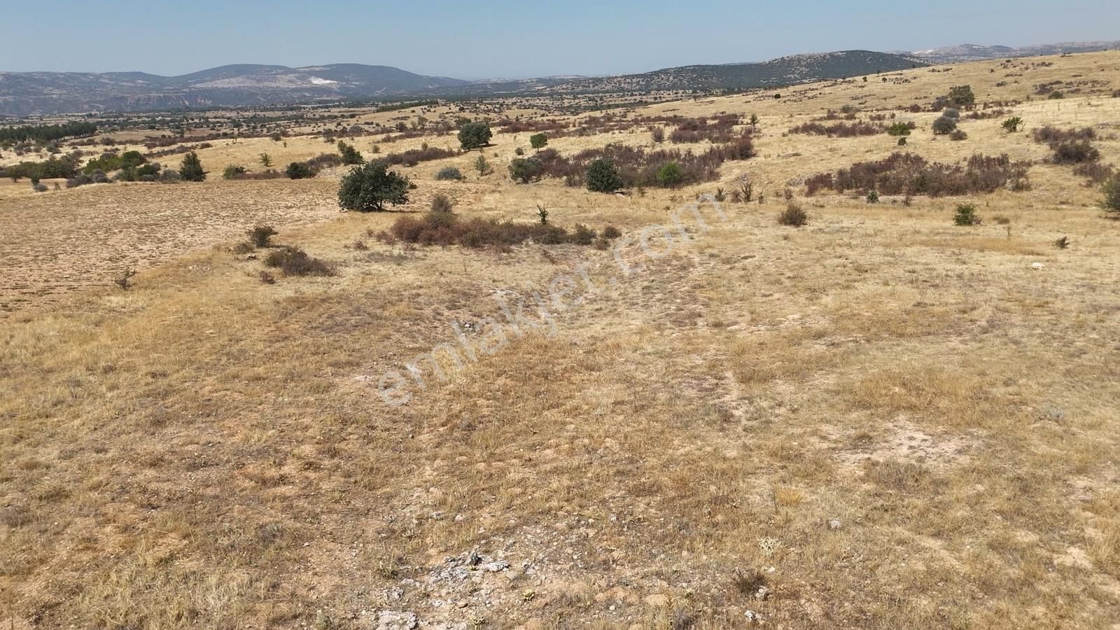 Denizli Bekilli Bükrüce'de Yatırımlık Fırsat Arazi!!!!! - Görsel 4