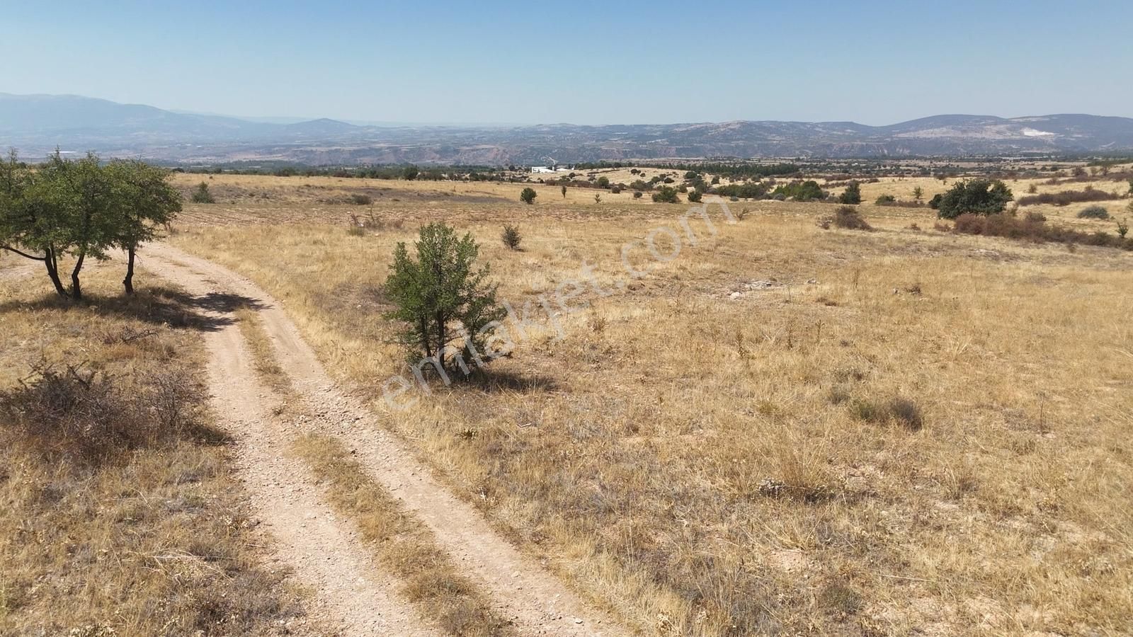 Denizli Bekilli Bükrüce'de Yatırımlık Fırsat Arazi!!!!! - Görsel 10