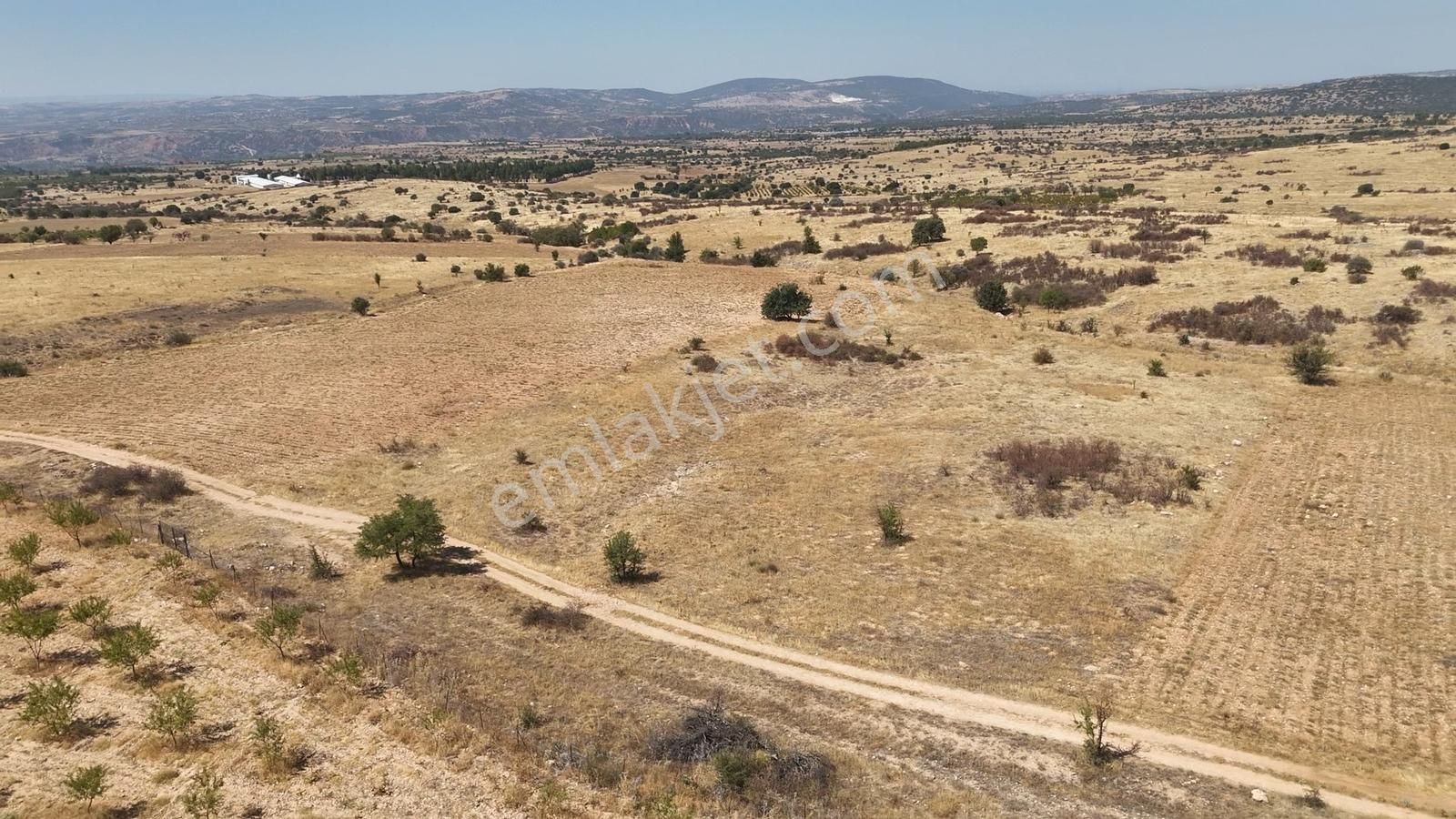 Denizli Bekilli Bükrüce'de Yatırımlık Fırsat Arazi!!!!! - Görsel 7