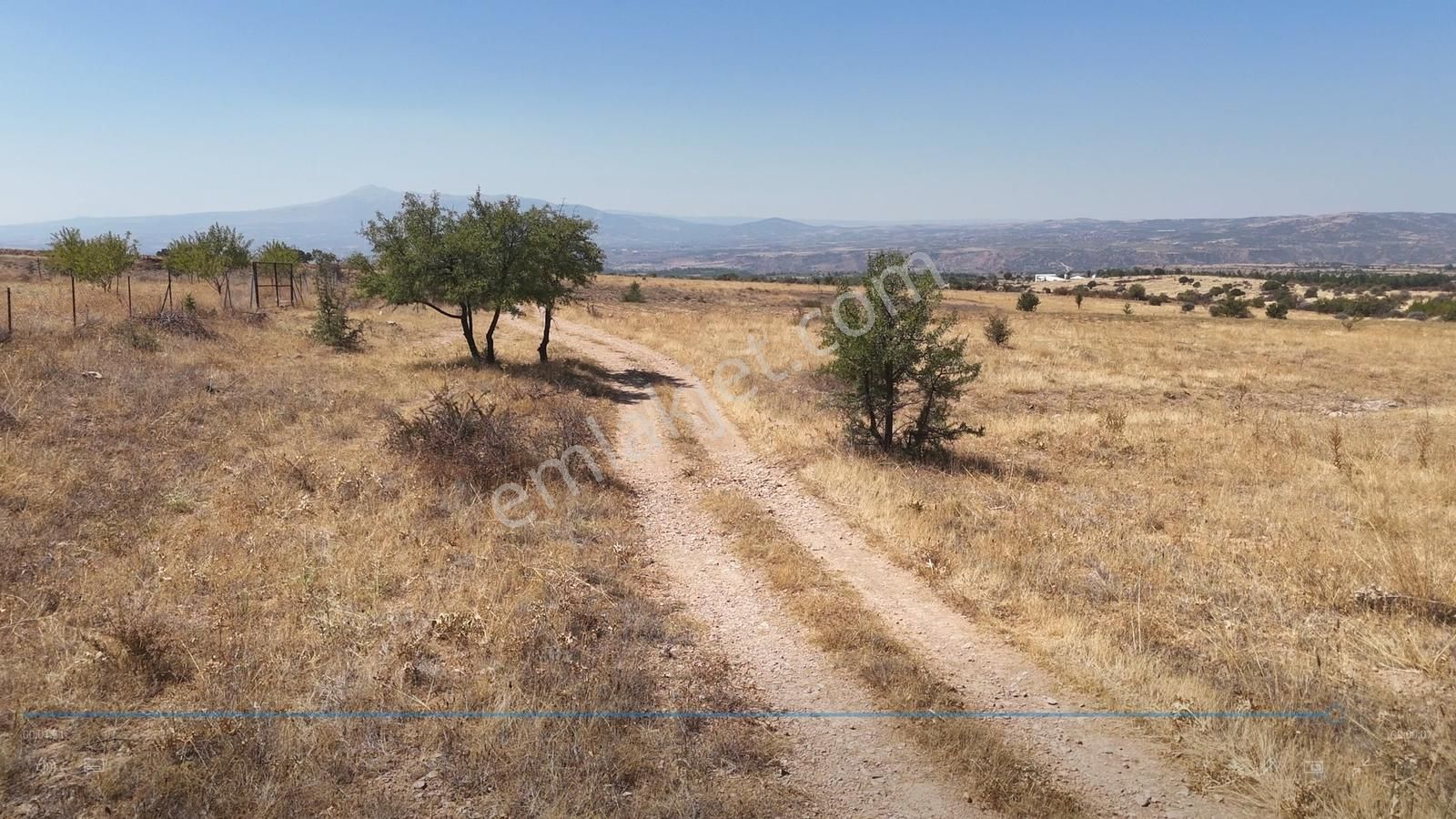 Denizli Bekilli Bükrüce'de Yatırımlık Fırsat Arazi!!!!! - Görsel 12