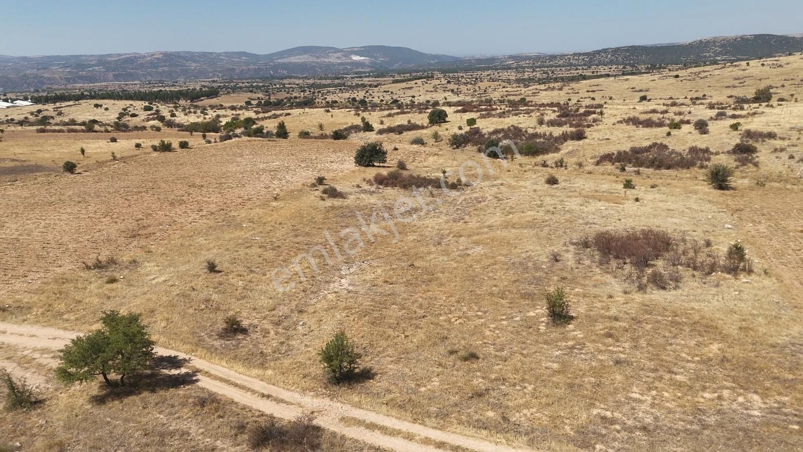 Denizli Bekilli Bükrüce'de Yatırımlık Fırsat Arazi!!!!! - Görsel 14