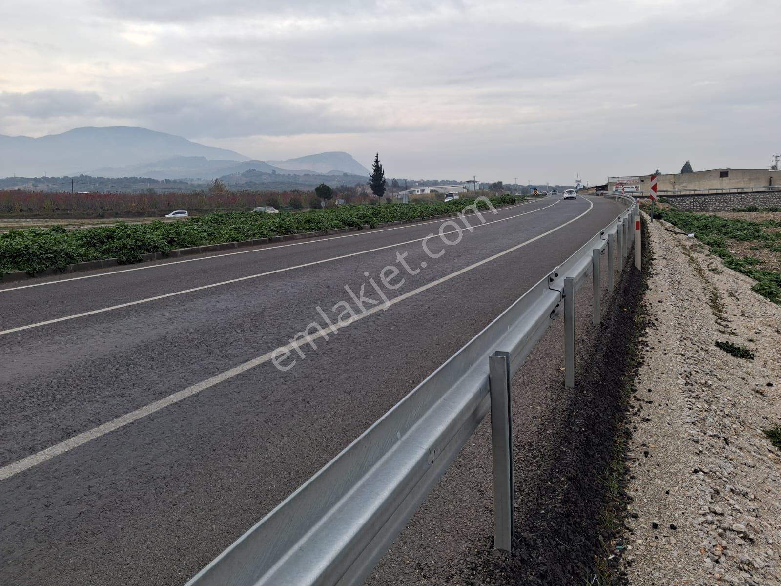 Manisa Şehzadeler Karaoğlanlı Satılık Zeytinlik - Görsel 4