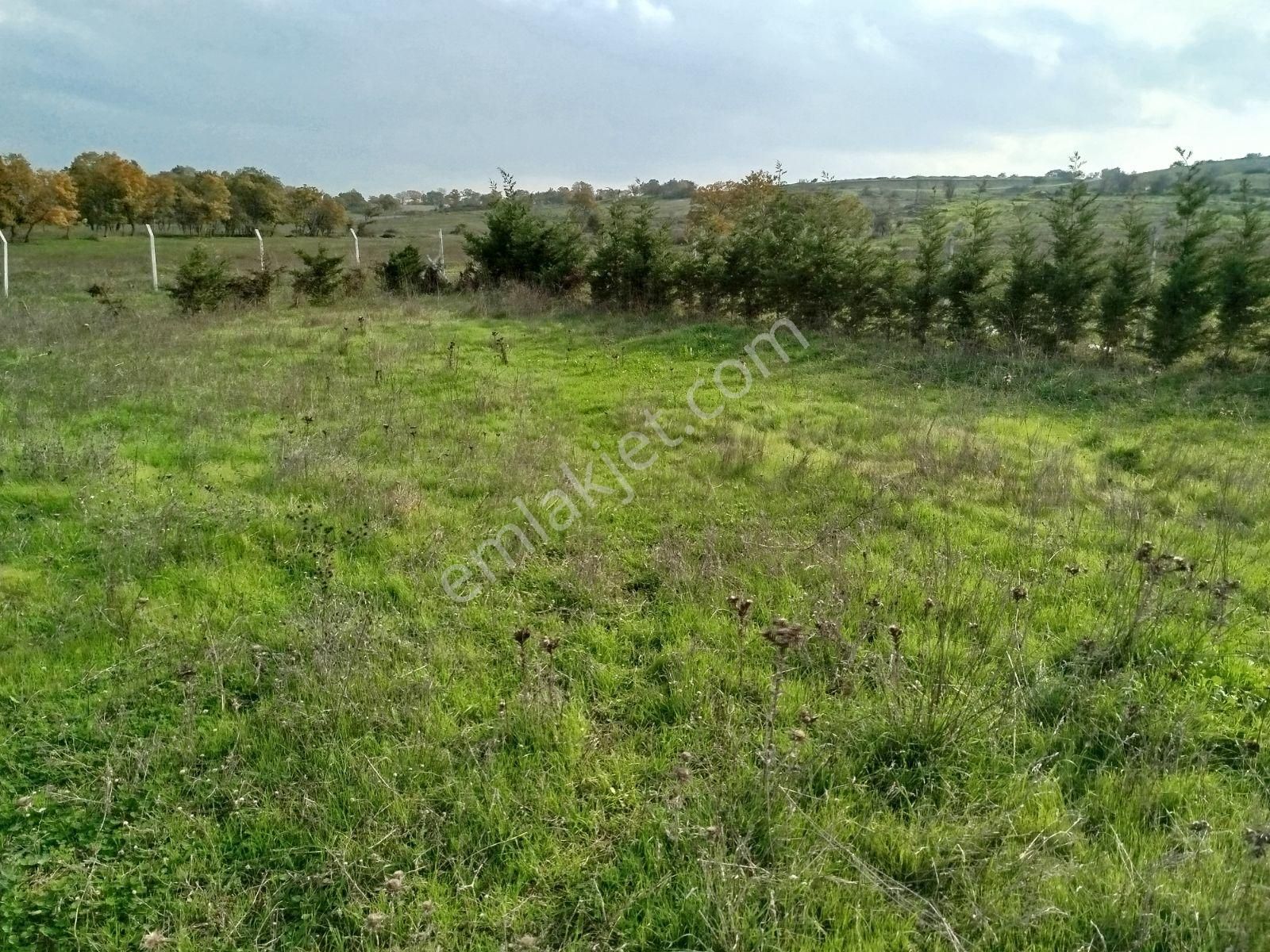 Balıkesir-edremit Yoluna Cephe Ticari İmarlı 14.070 M2 Tarla - Görsel 21