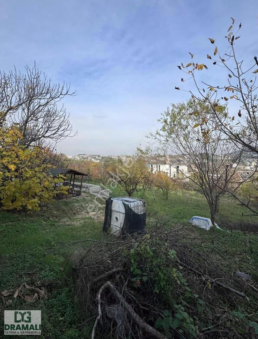 Bursa Nilüfer Gümüştepe 1.788 M2 Bağ Nitelikli Yola Cephe - Görsel 4