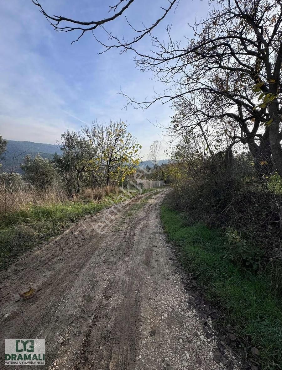 Bursa Nilüfer Gümüştepe 1.788 M2 Bağ Nitelikli Yola Cephe - Görsel 6