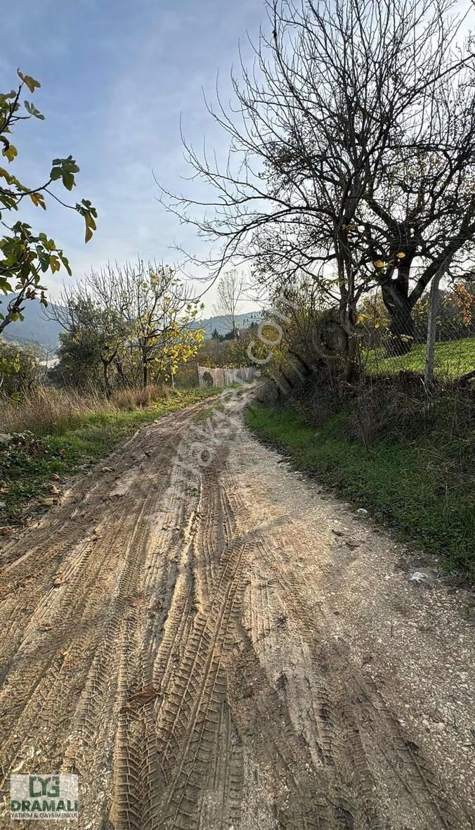 Bursa Nilüfer Gümüştepe 1.788 M2 Bağ Nitelikli Yola Cephe - Görsel 7