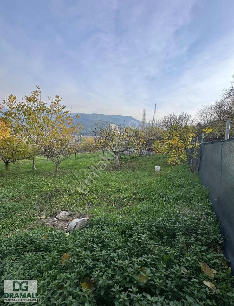 Bursa Nilüfer Gümüştepe 1.788 M2 Bağ Nitelikli Yola Cephe - Görsel 9