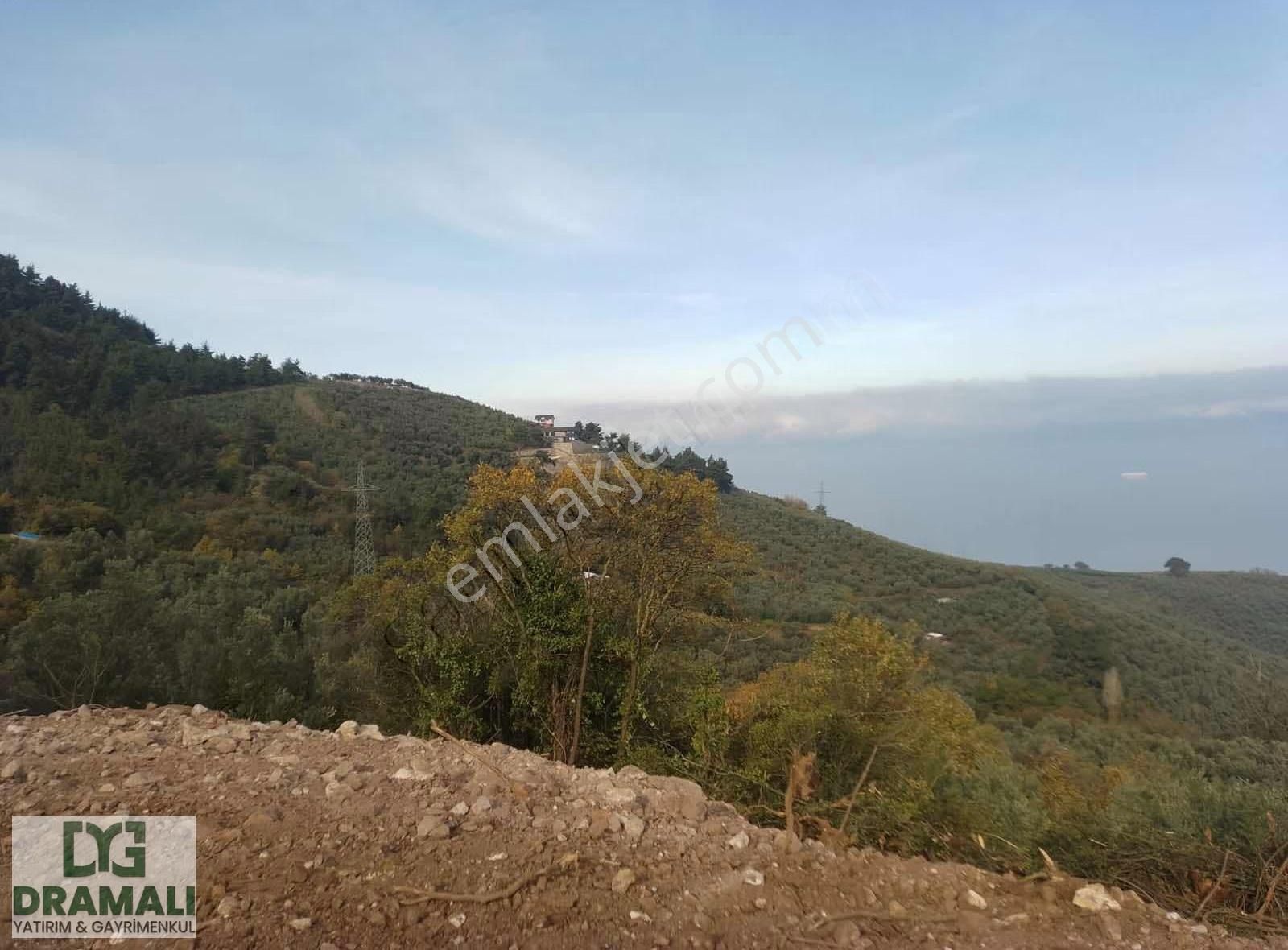 Bursa Gündoğdu Satılık 4248m2 Tarla - Görsel 13