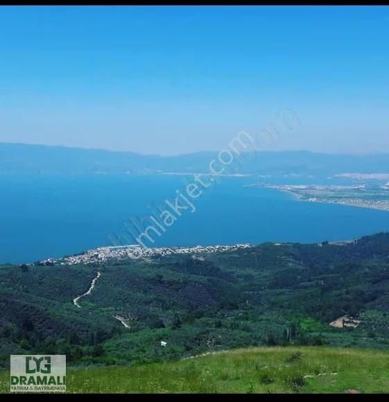 Bursa Gündoğdu Satılık 4248m2 Tarla - Görsel 14