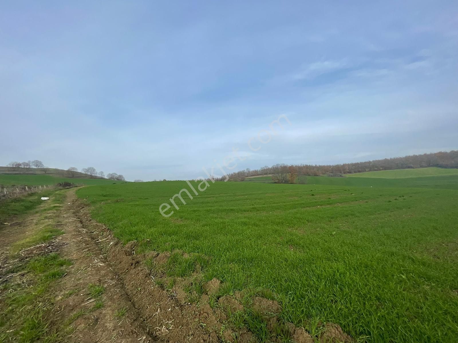 Adapazarı Aşırlar'da 2135m2 Satılık Tarla - Görsel 16