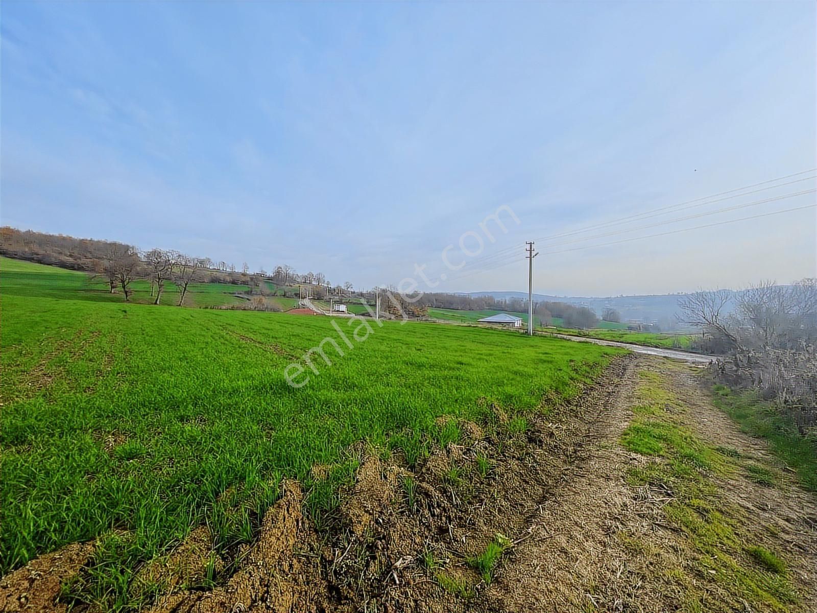 Adapazarı Aşırlar'da 2135m2 Satılık Tarla - Görsel 9