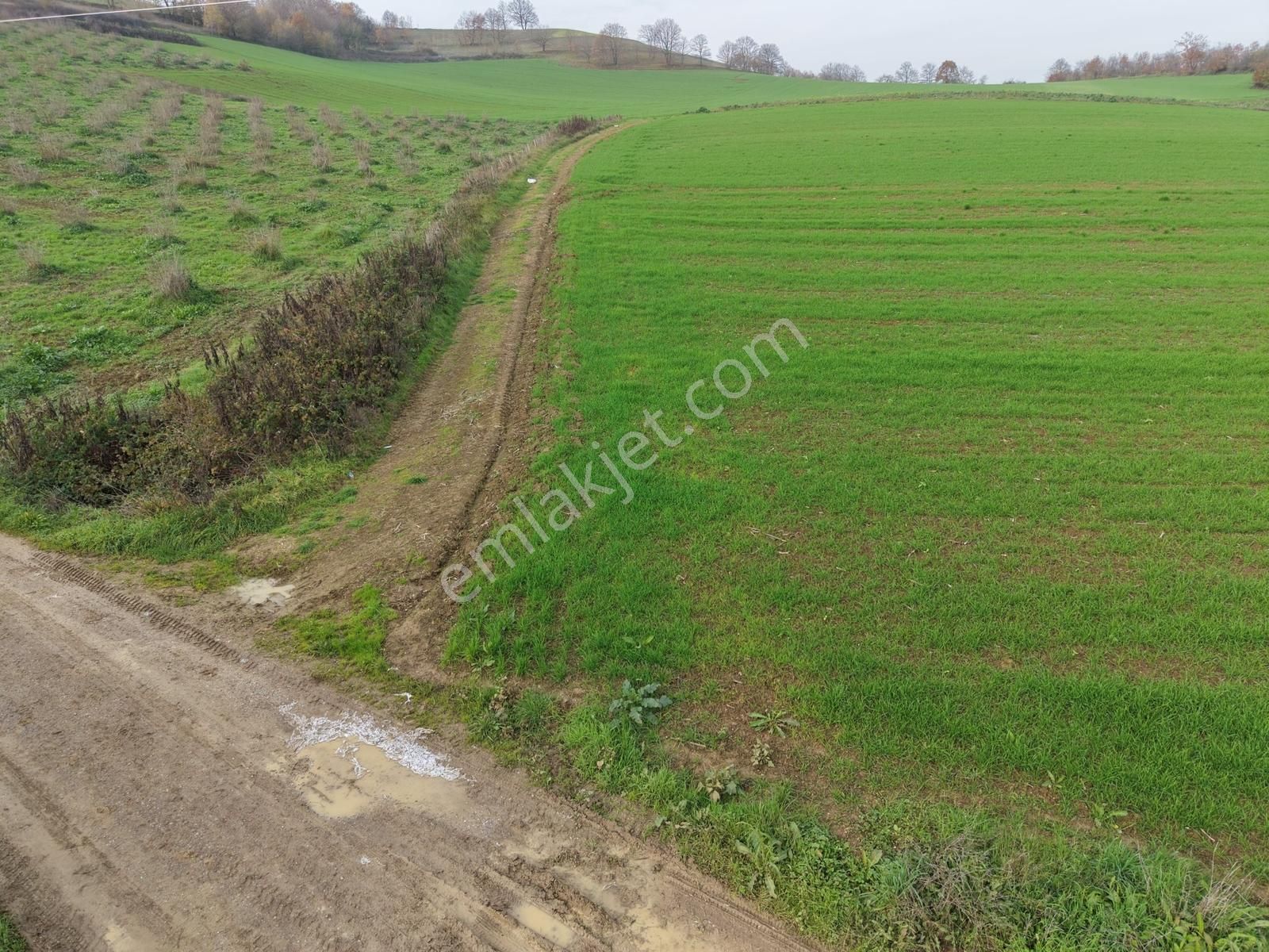 Adapazarı Aşırlar'da 2135m2 Satılık Tarla - Görsel 13