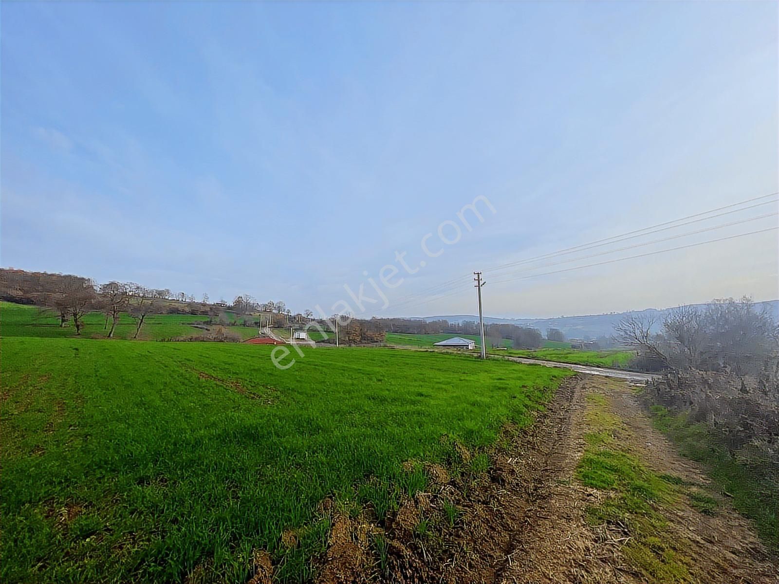 Adapazarı Aşırlar'da 2135m2 Satılık Tarla - Görsel 31