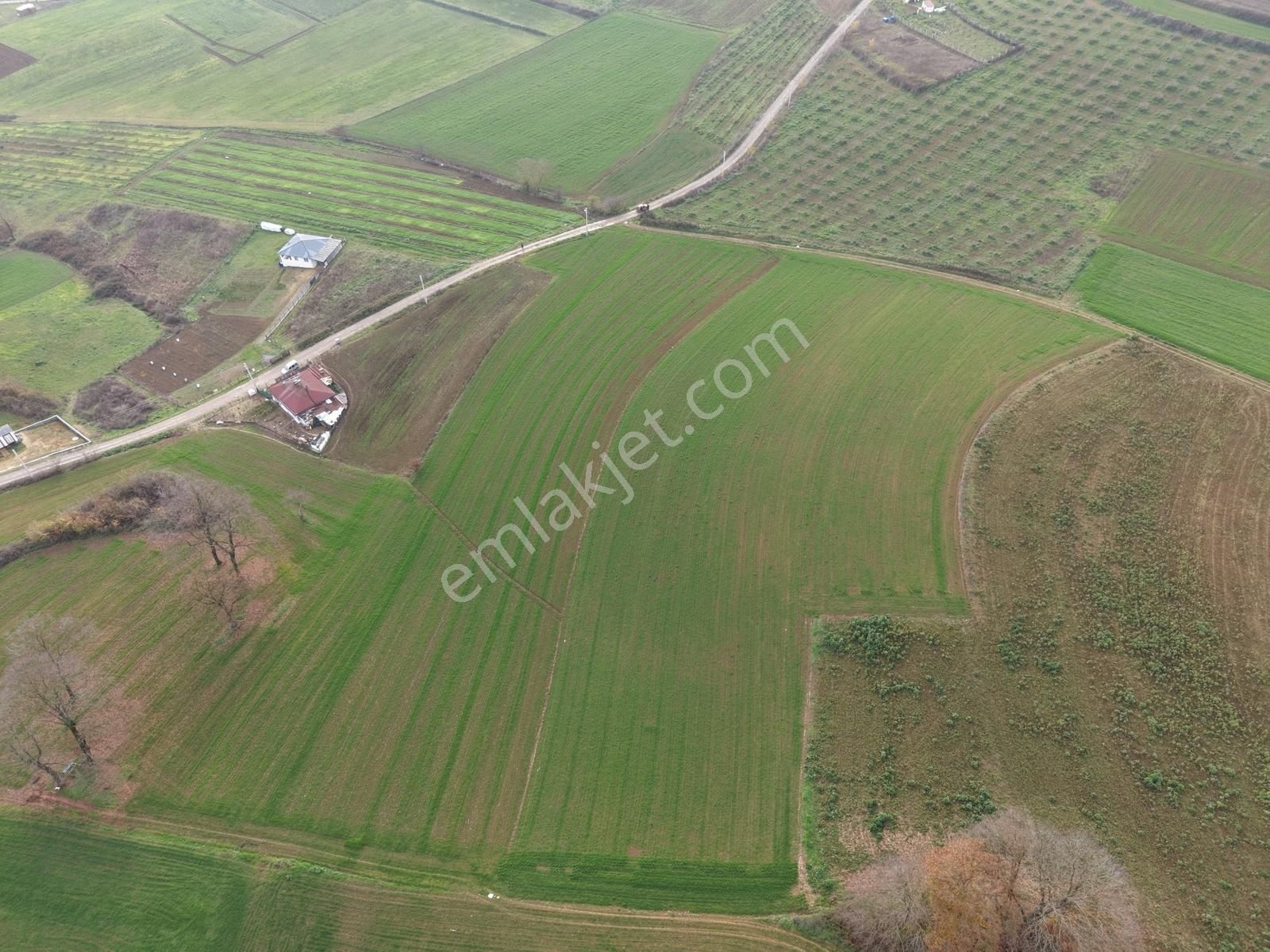 Adapazarı Aşırlar'da 2135m2 Satılık Tarla - Görsel 23