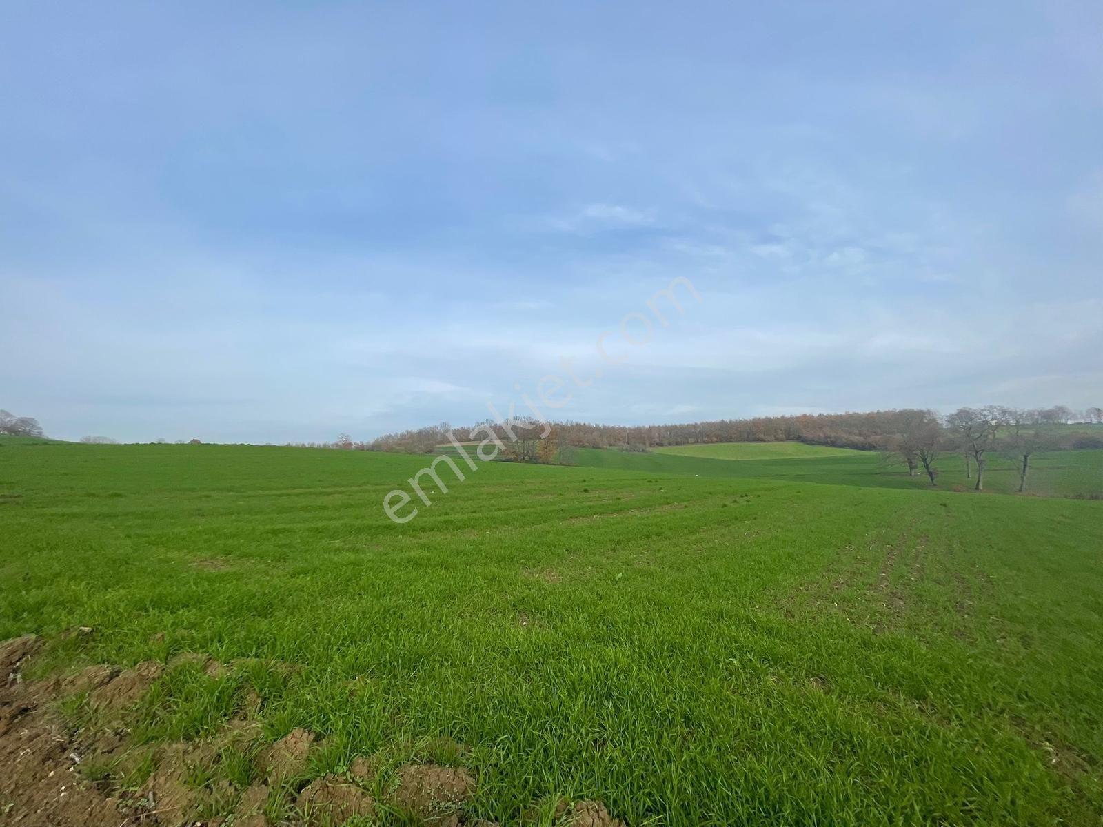 Adapazarı Aşırlar'da 2135m2 Satılık Tarla - Görsel 6