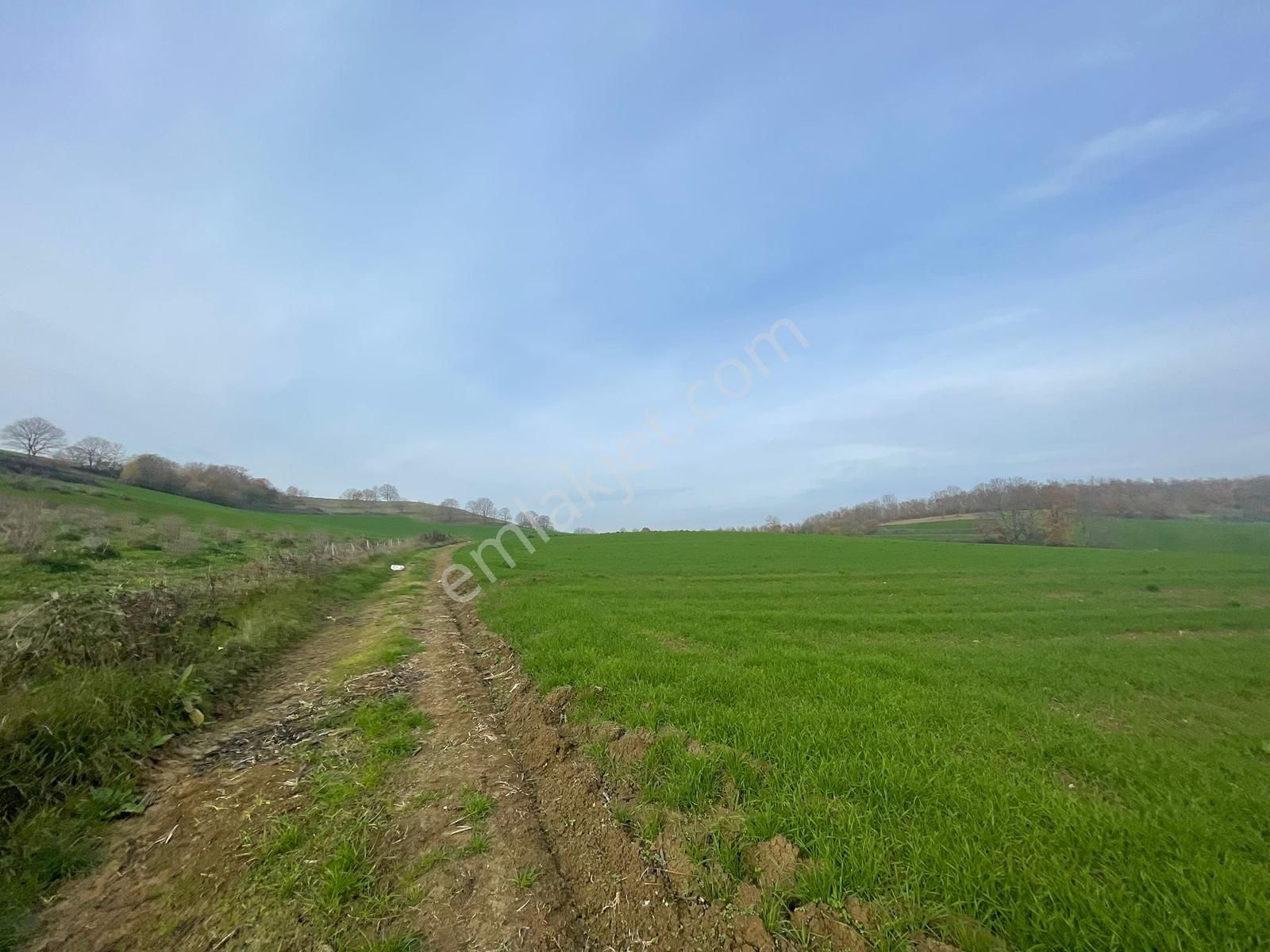 Adapazarı Aşırlar'da 2135m2 Satılık Tarla - Görsel 24