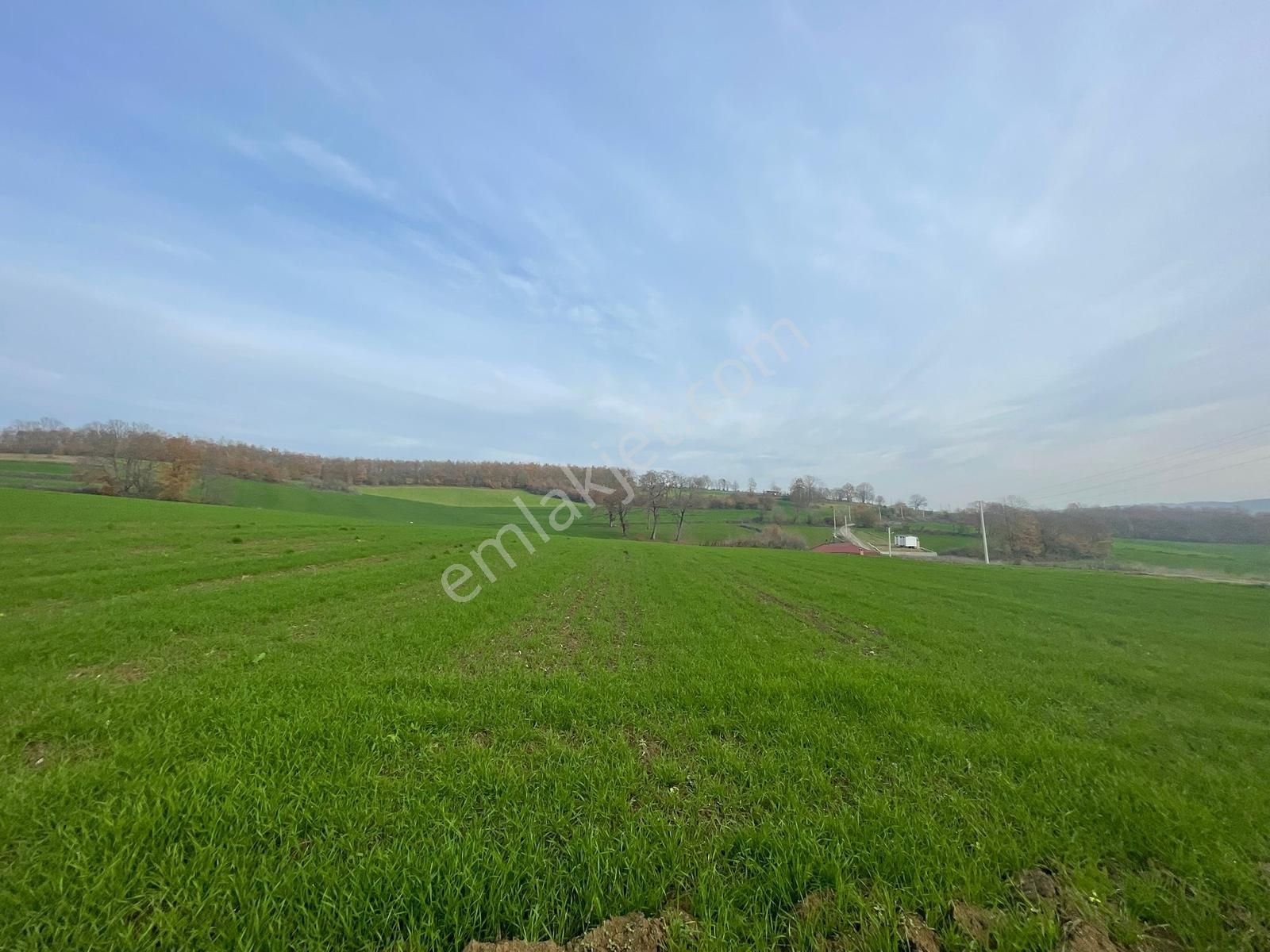 Adapazarı Aşırlar'da 2135m2 Satılık Tarla - Görsel 25