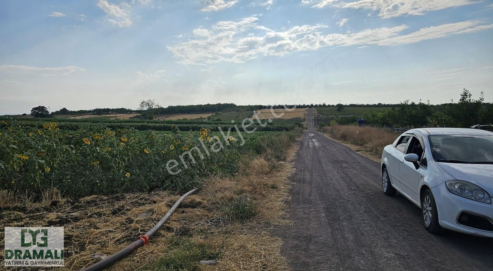 Bursa Yenişehir Akbıyık Köyü Yatırıma Uygun Düz Verimli Tarla - Görsel 2