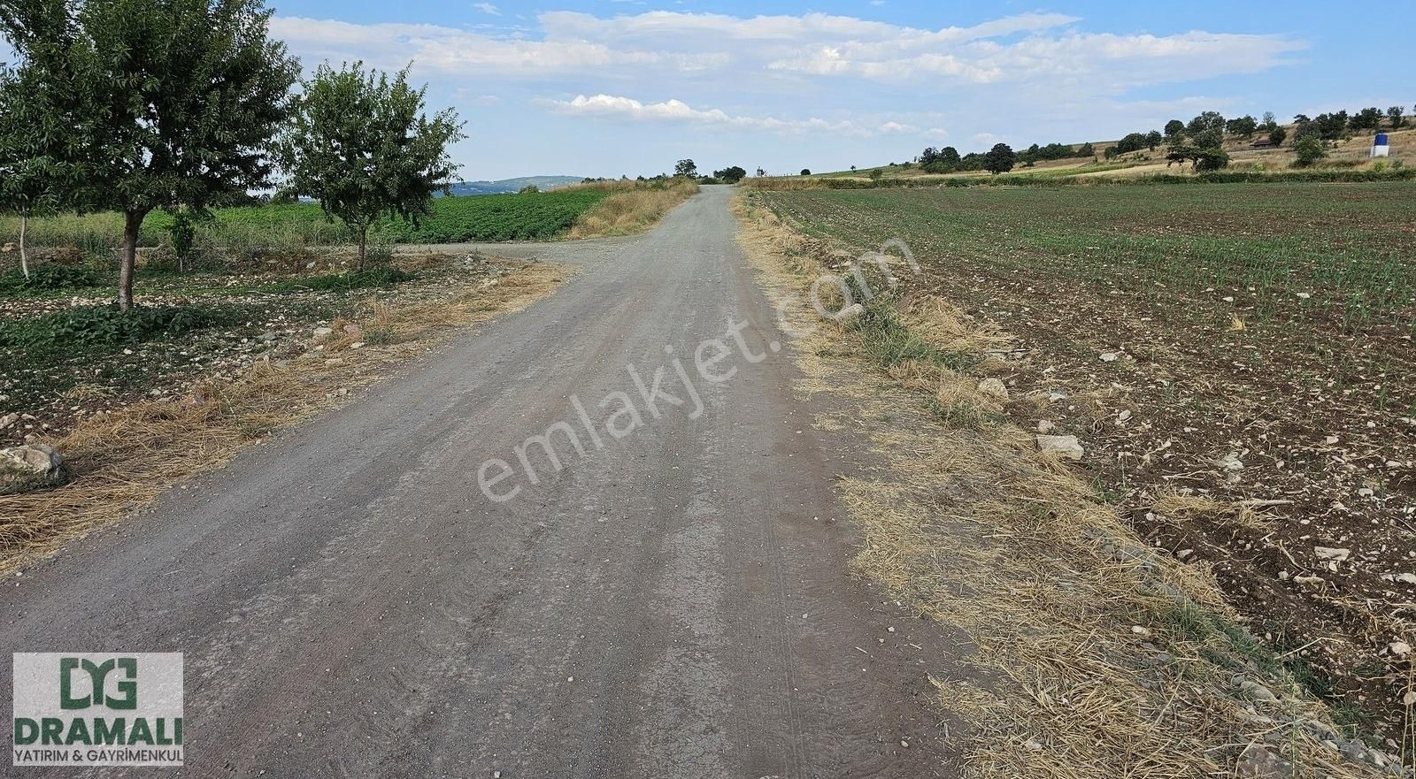 Bursa Yenişehir Akbıyık Köyü Yatırıma Uygun Düz Verimli Tarla - Görsel 8