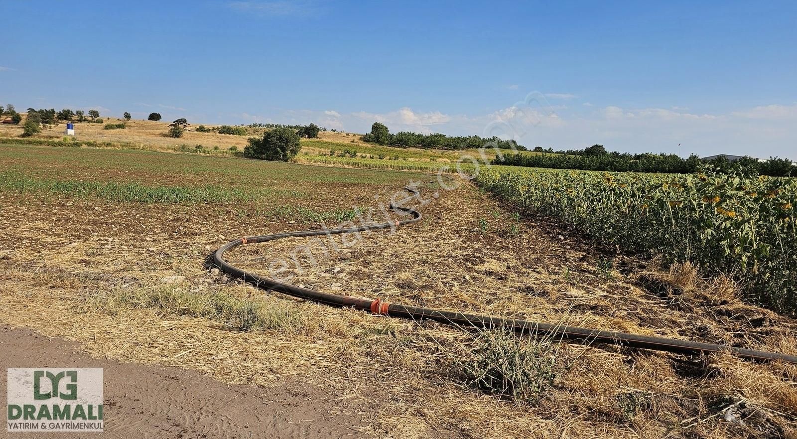 Bursa Yenişehir Akbıyık Köyü Yatırıma Uygun Düz Verimli Tarla - Görsel 4