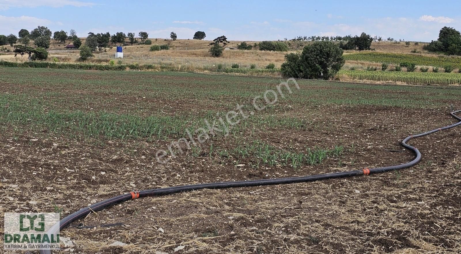 Bursa Yenişehir Akbıyık Köyü Yatırıma Uygun Düz Verimli Tarla - Görsel 7