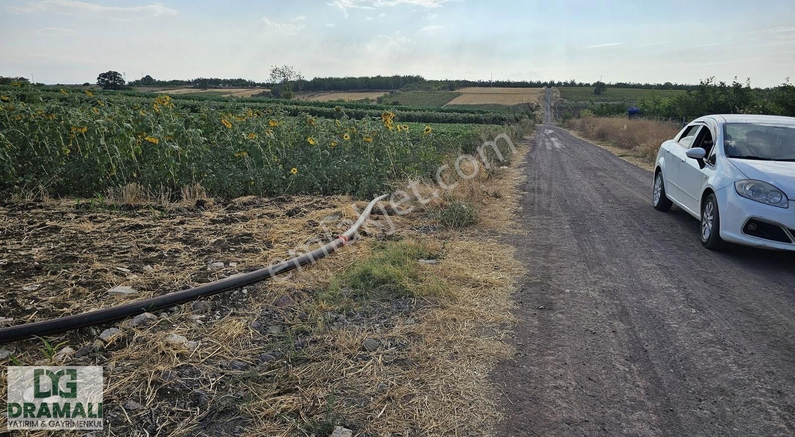 Bursa Yenişehir Akbıyık Köyü Yatırıma Uygun Düz Verimli Tarla - Görsel 12