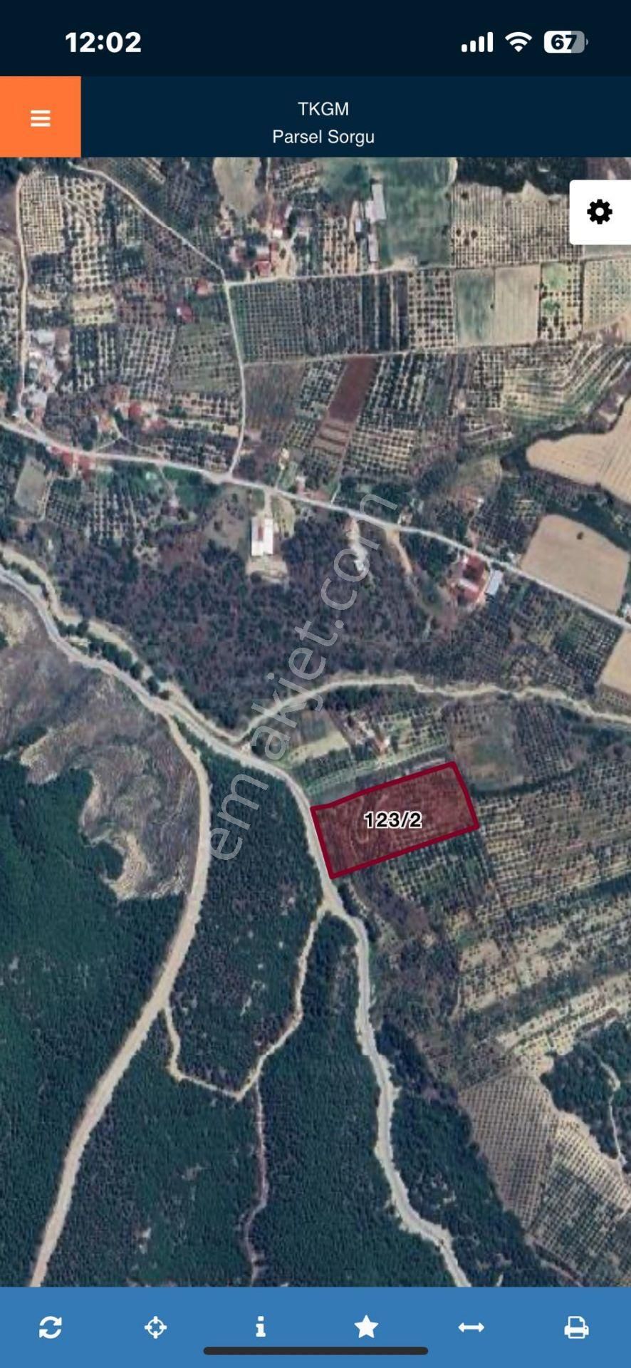 14 Dönüm Satılık Zeytinlik - Görsel 10