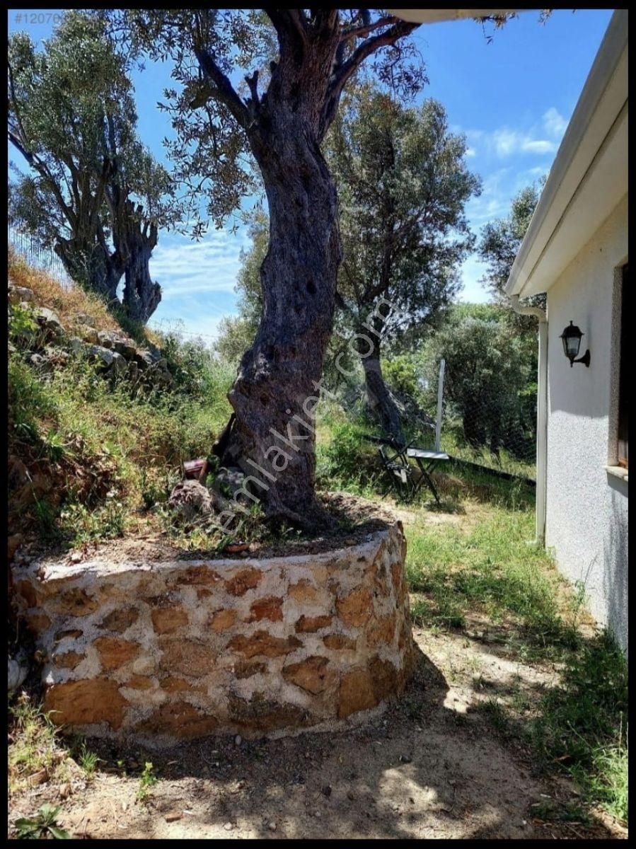 Seferihisar Sığacık Taşdibi'nde Bahçeli Deniz Mnz Kiralık Villa - Görsel 22