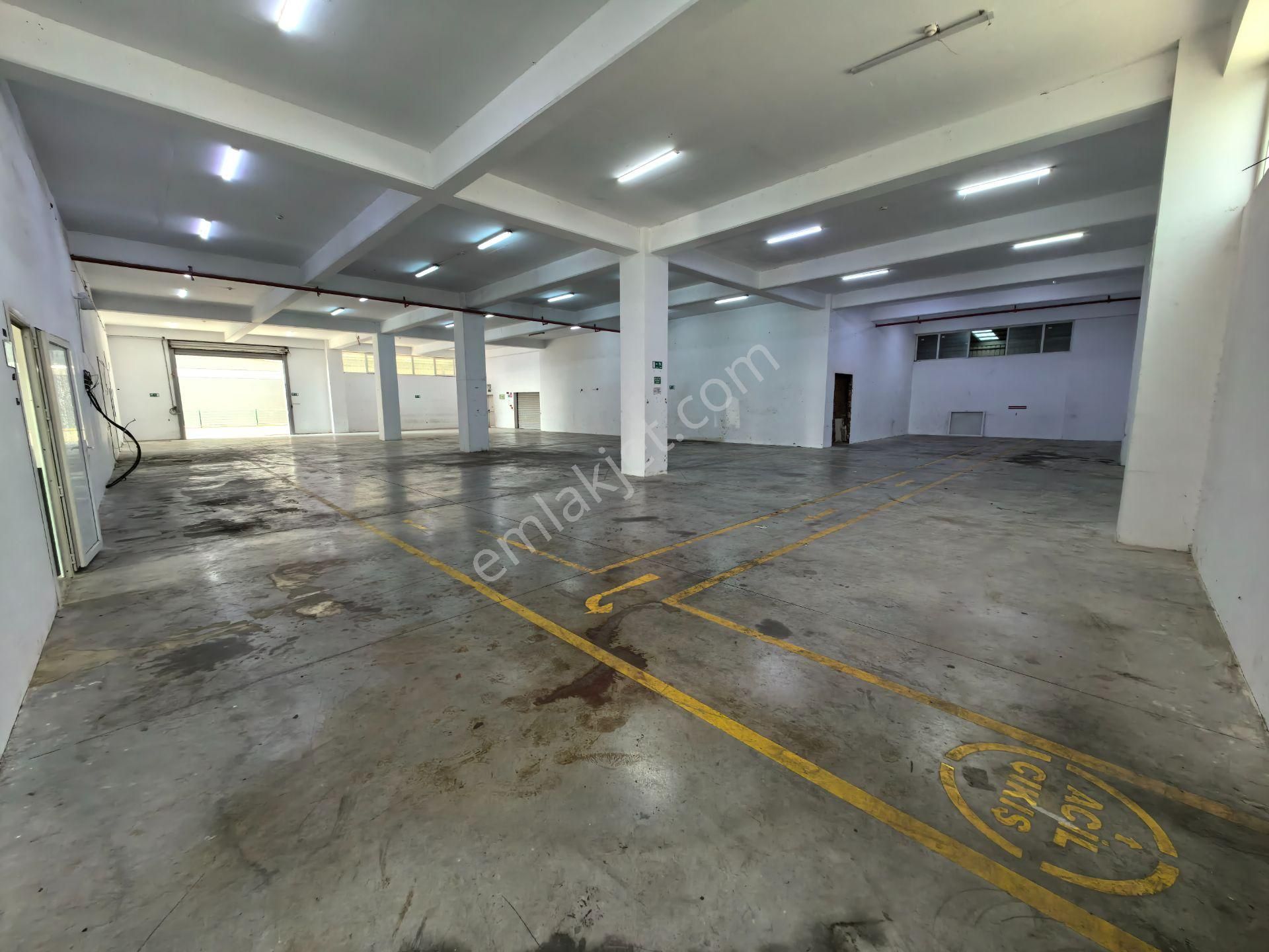 Buca Osb Begos Zemin Kat 1200 M² Kiralık Depo İşyeri - Görsel 5
