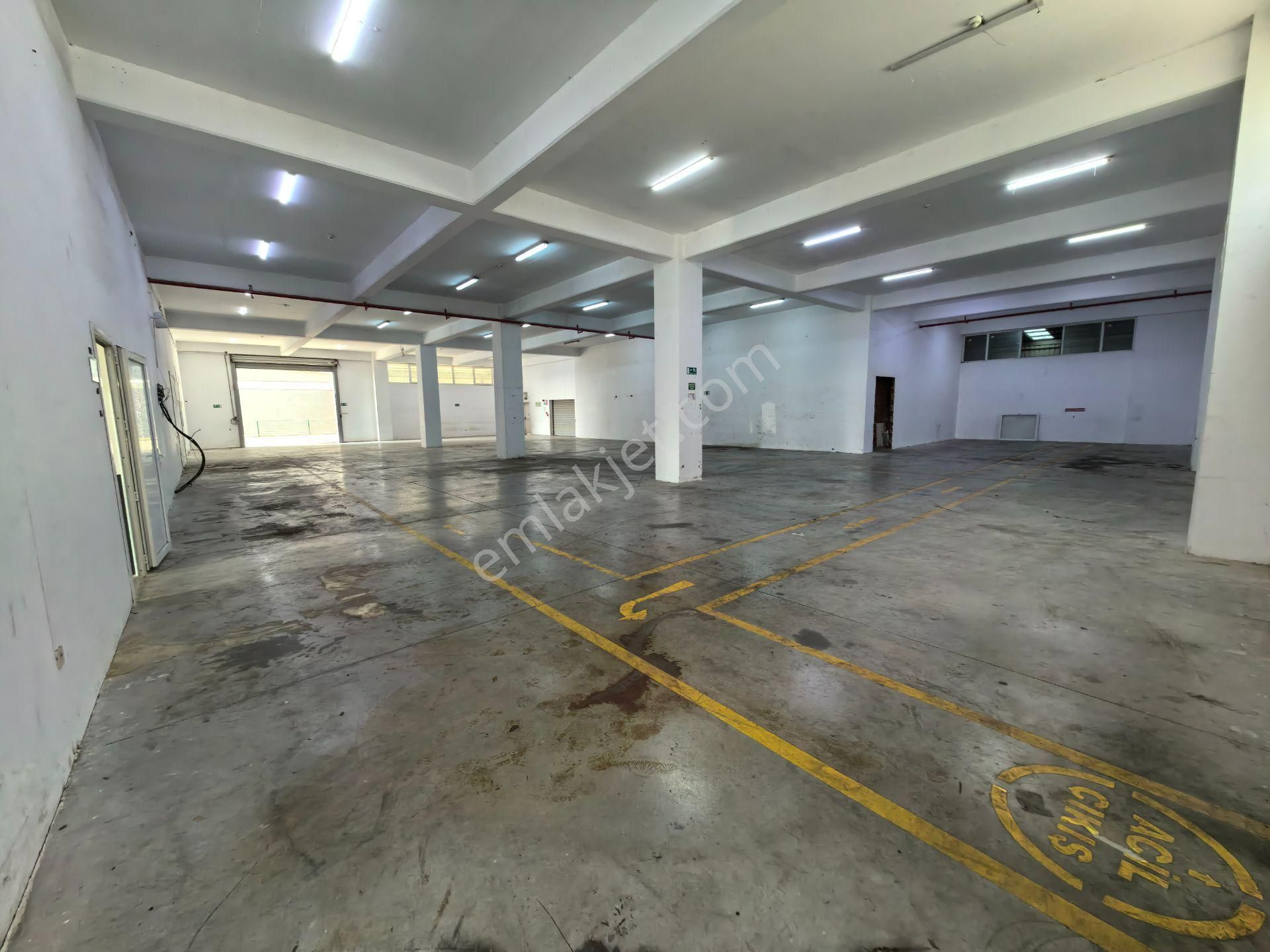 Buca Osb Begos Zemin Kat 1200 M² Kiralık Depo İşyeri - Görsel 8
