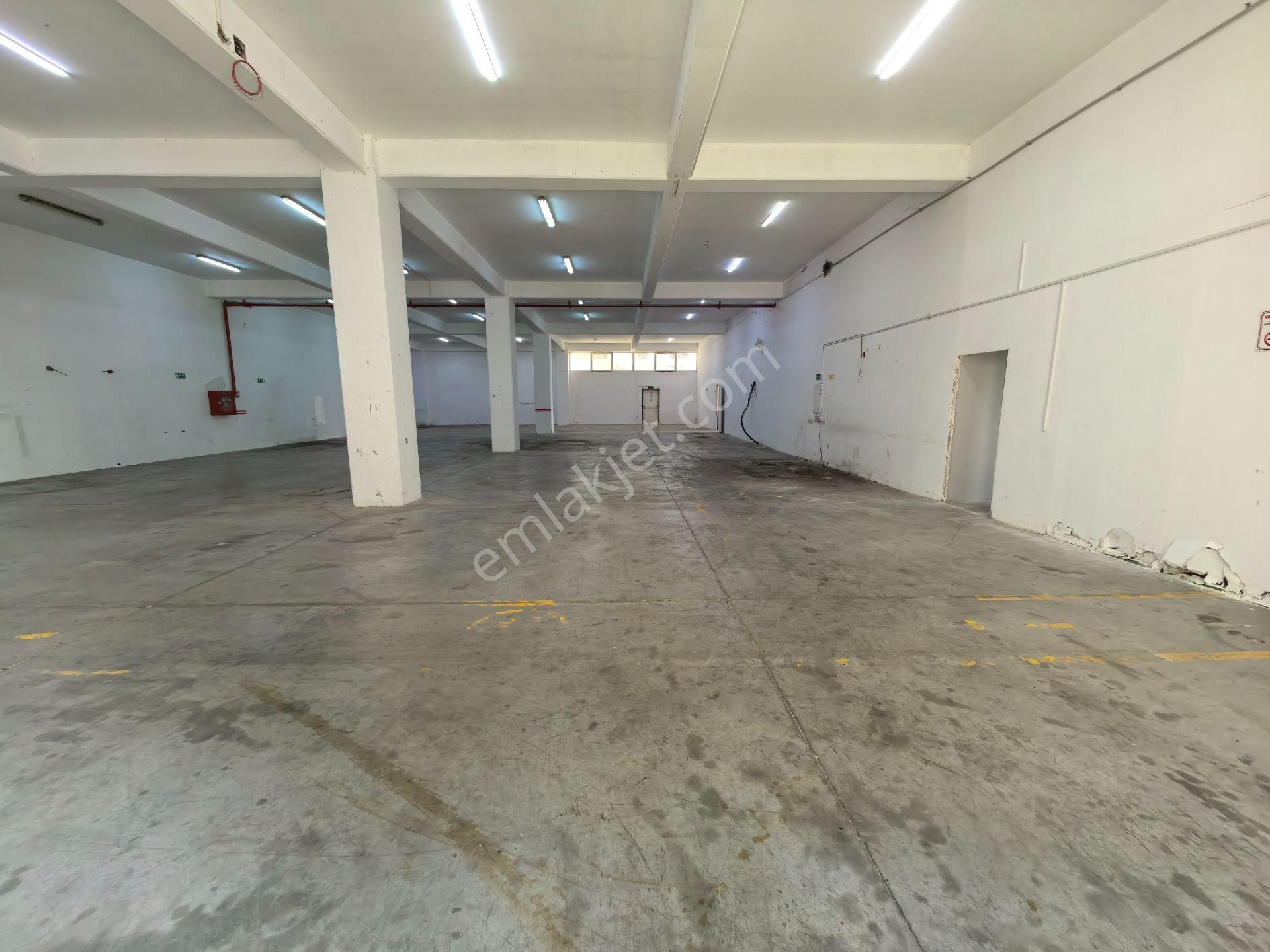 Buca Osb Begos Zemin Kat 1200 M² Kiralık Depo İşyeri - Görsel 3