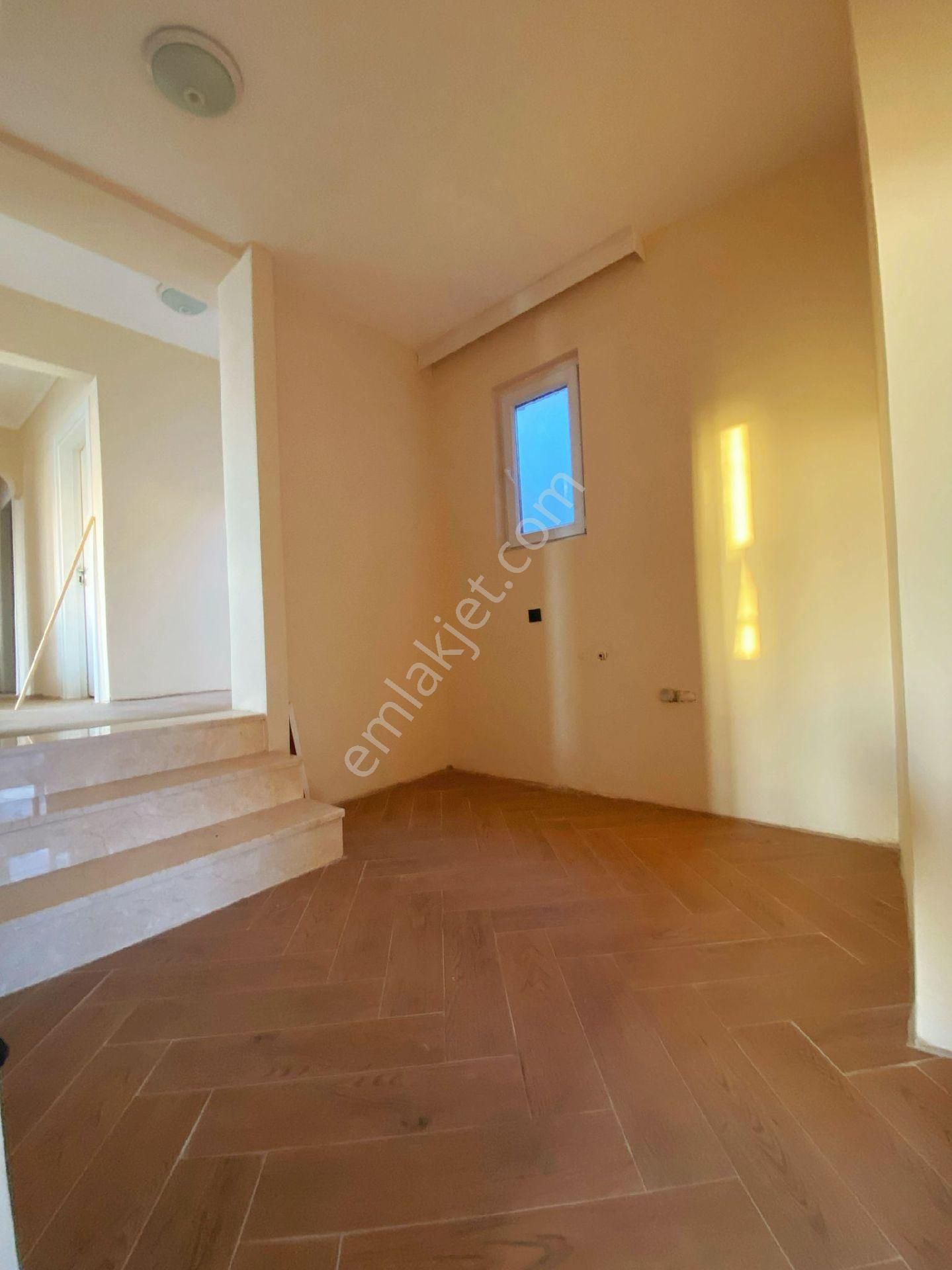 Patron Çıldırmış - Görsel 14