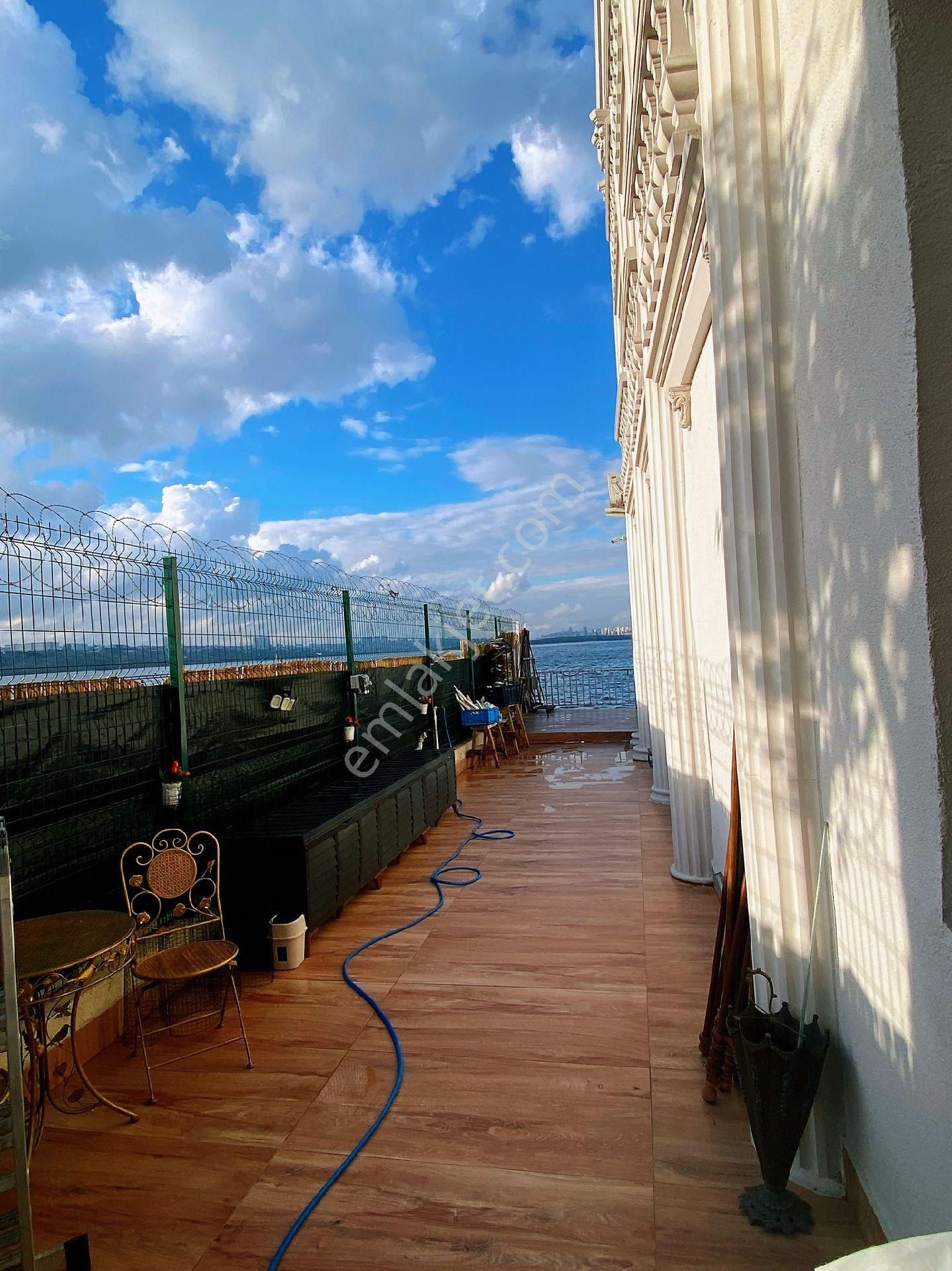 Patron Çıldırmış - Görsel 35