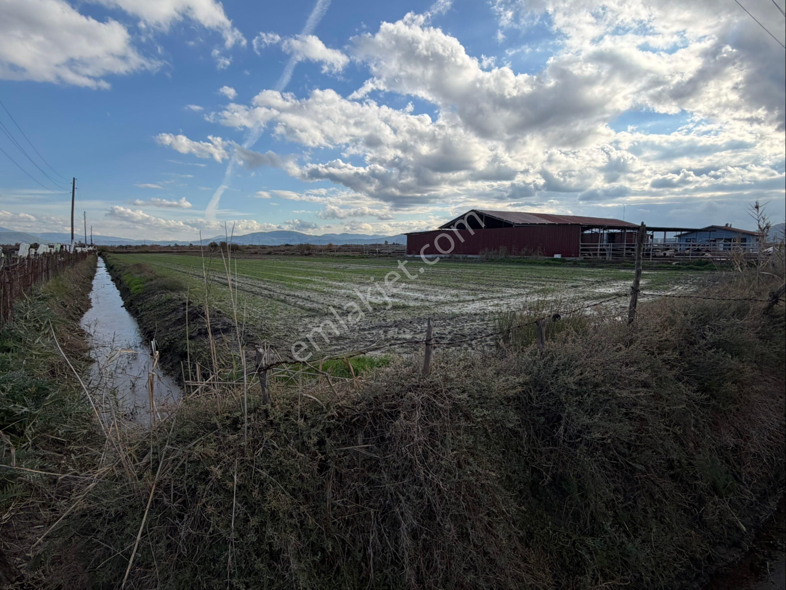 Muğla Milas Avşar Mah. Toprak Havuzlar Bölgesi Yol Cepheli Tarla ! - Görsel 2