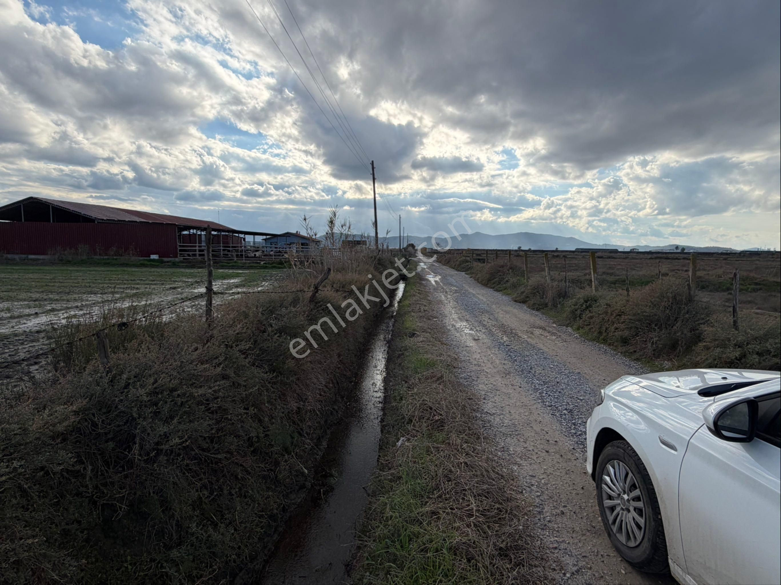 Muğla Milas Avşar Mah. Toprak Havuzlar Bölgesi Yol Cepheli Tarla ! - Görsel 5